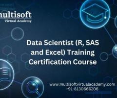 Data Scientist (R, SAS and Excel) Training Certification Course