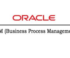 Best Oracle BPM Training Institute Certification From India