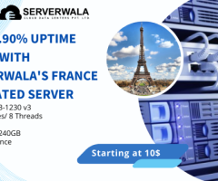 Get 99.90% Uptime Value with Serverwala's France Dedicated Server