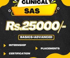 Clinical SAS training with 100%placement assistance
