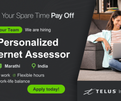 Personalized Internet Assessors in India (Marathi speakers) - Work from Home
