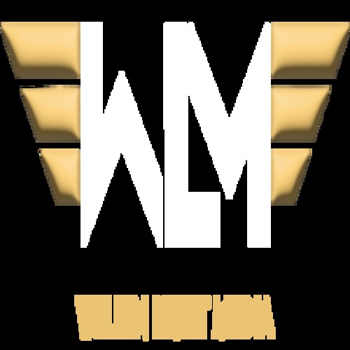 welkin lightmedia Profile Picture