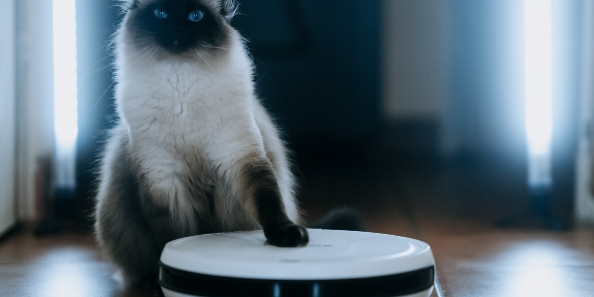 20 Trailblazers Lead The Way In Robot Vacuum Sale