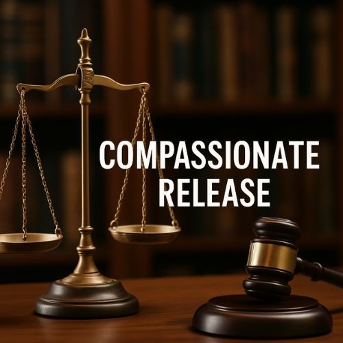 Compassionate Release Profile Picture