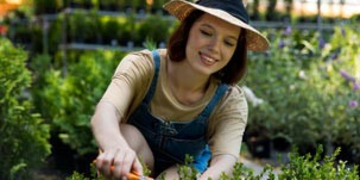 Lawn Mowers Hoppers Crossing – Greener   Lawns with I Love Gardening