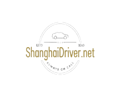 Shanghai driver Profile Picture
