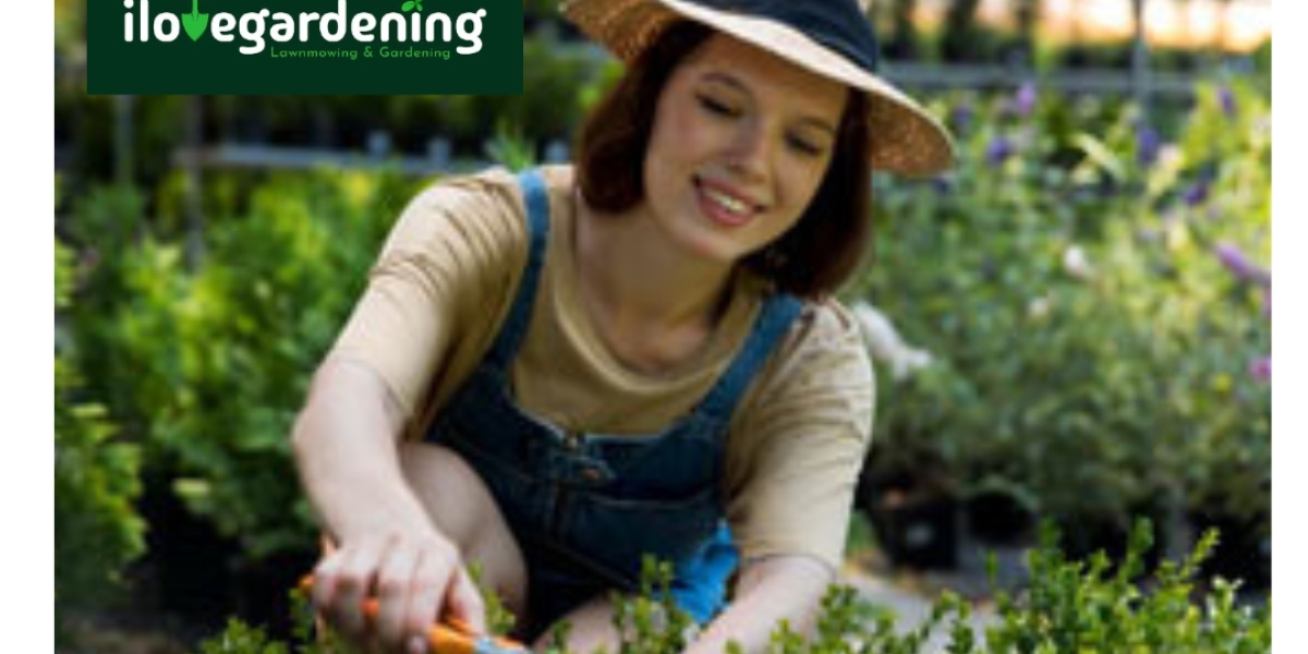 Cheap Grass Cutting Service Near Me – Professional Lawn Care You Can Trust