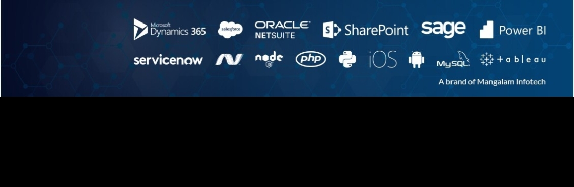 TechWize IT Consulting Company Cover Image