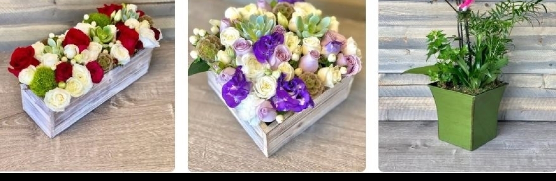 Everyday Flowers and Balloons Cover Image