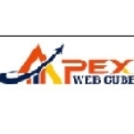 Apex Web Cube Profile Picture
