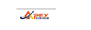 Apex Web Cube Profile Picture