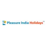 Pleasure India Holidays profile picture