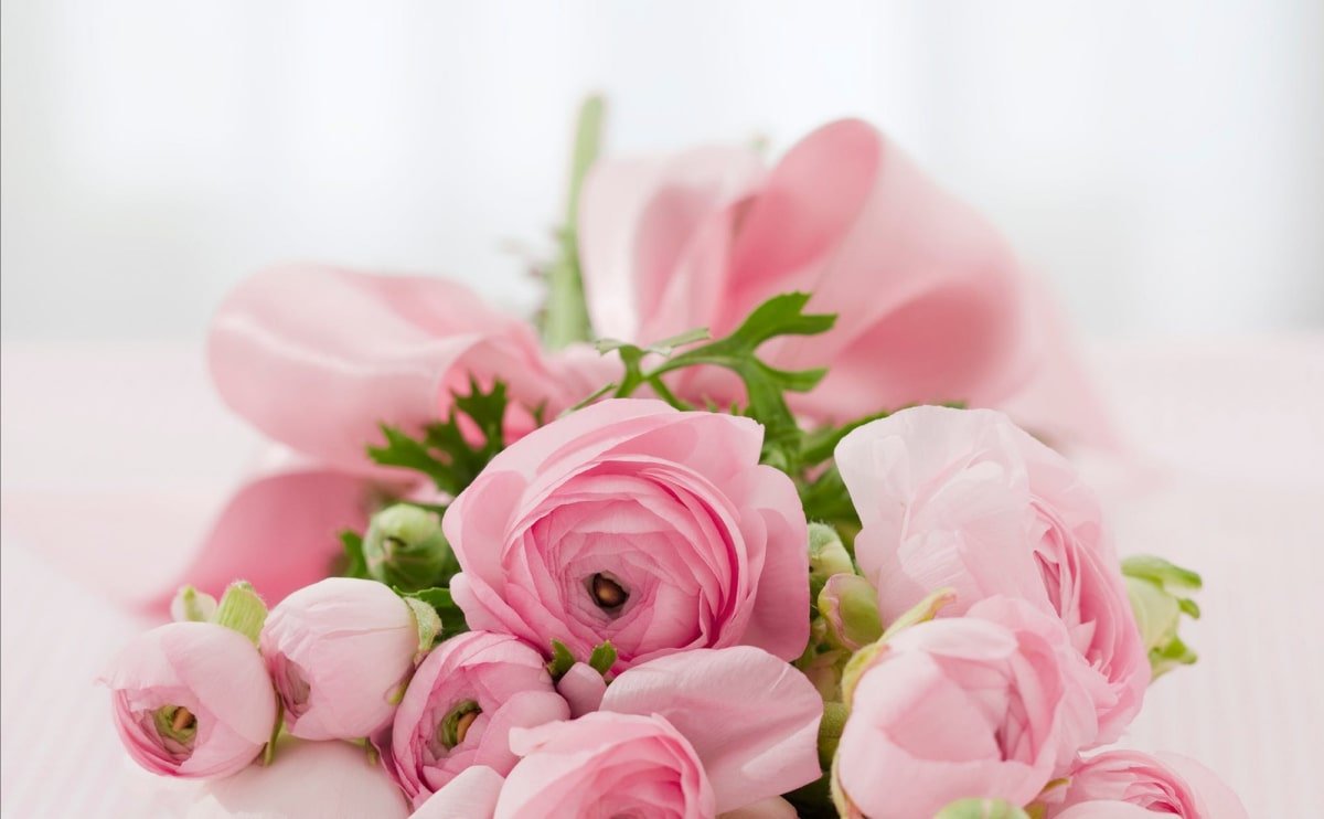 Flower Delivery To O'Connor Hospital - Everyday Flowers and Balloons