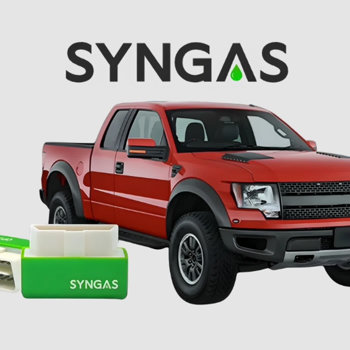 SynGas Bewertungen Profile Picture