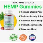 Vital Hemp Profile Picture