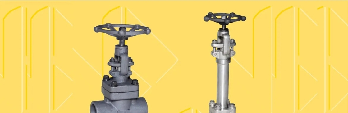 Forged Valves Cover Image