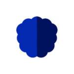 NewsDataio API Profile Picture