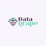 Data grape Profile Picture