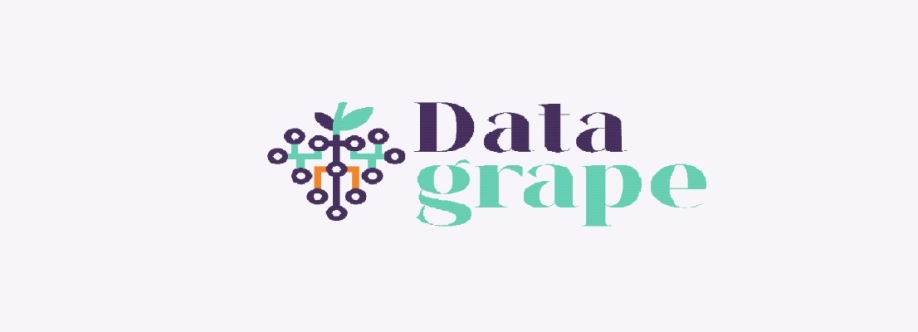 Data grape Cover Image