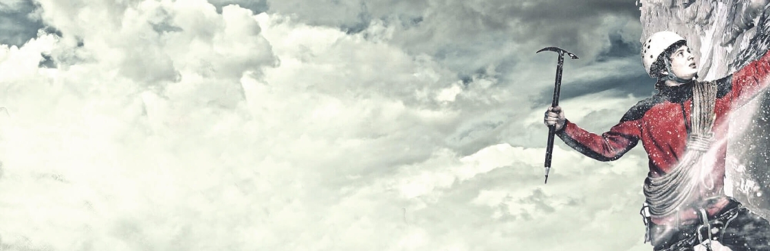 Bansal Trading Company Cover Image